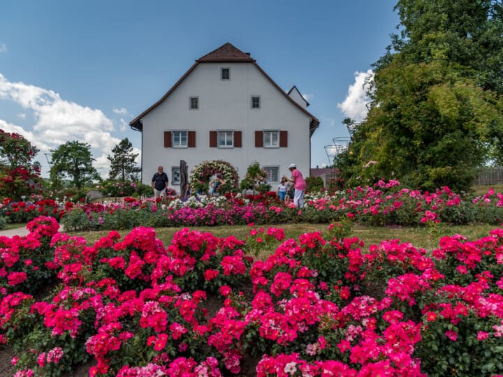 KLAUS HANSEN 79761ww.KLAUS-HANSEN.DE