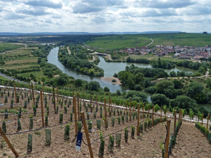 eschen_25478269800_o