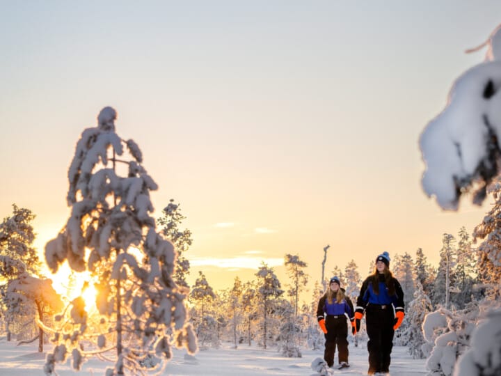 Nature tour with snowshoes 04