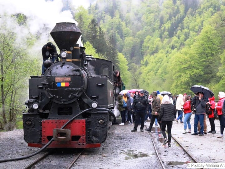 Dampf Waldbahn_C_Pixabay-Mariana Anatoneag