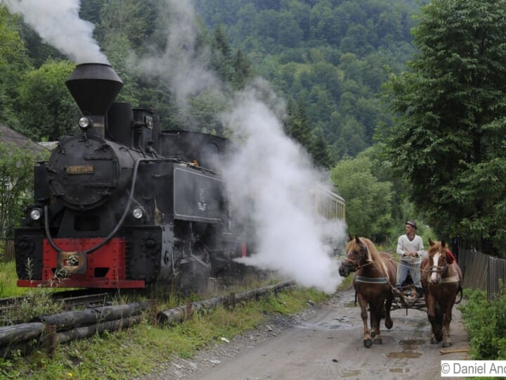 Waldeisenbahn (1)