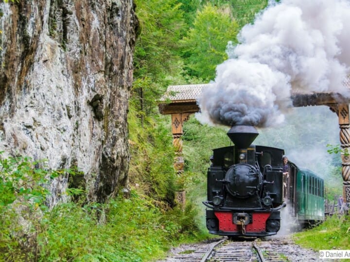 Waldeisenbahn (2)